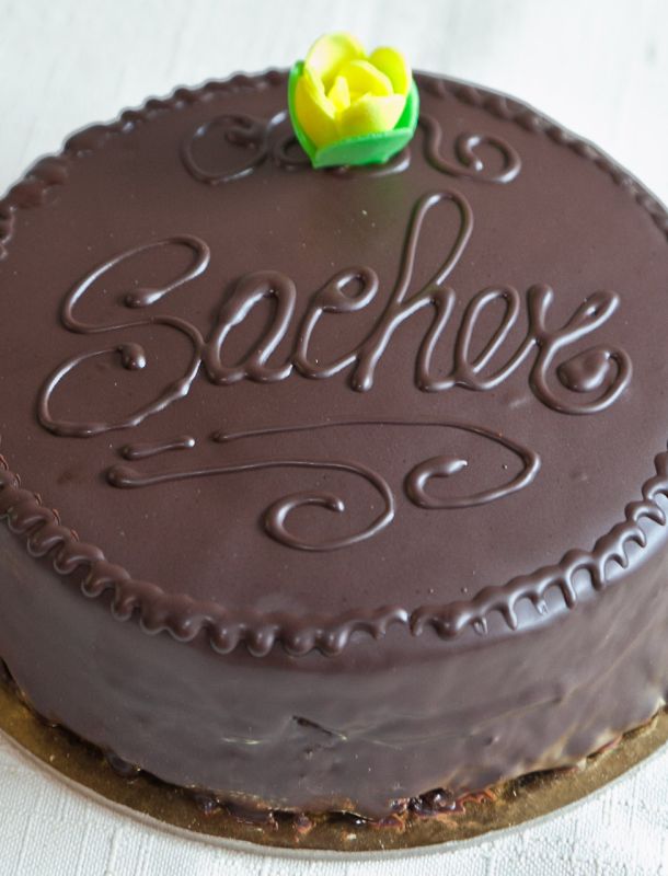 sacher